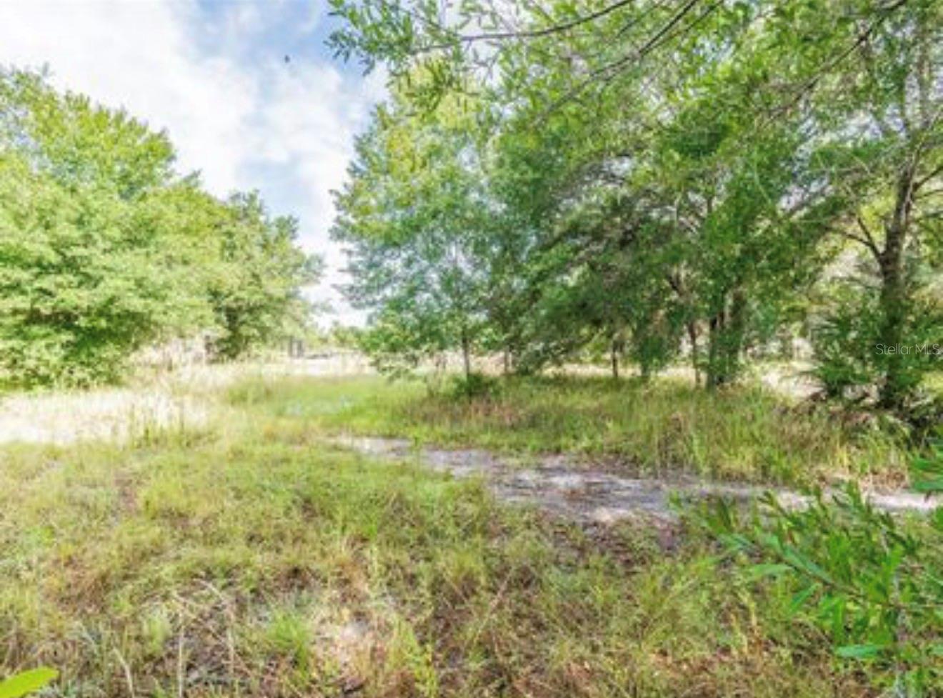 2923 Timberlee Rd Property Photo 13