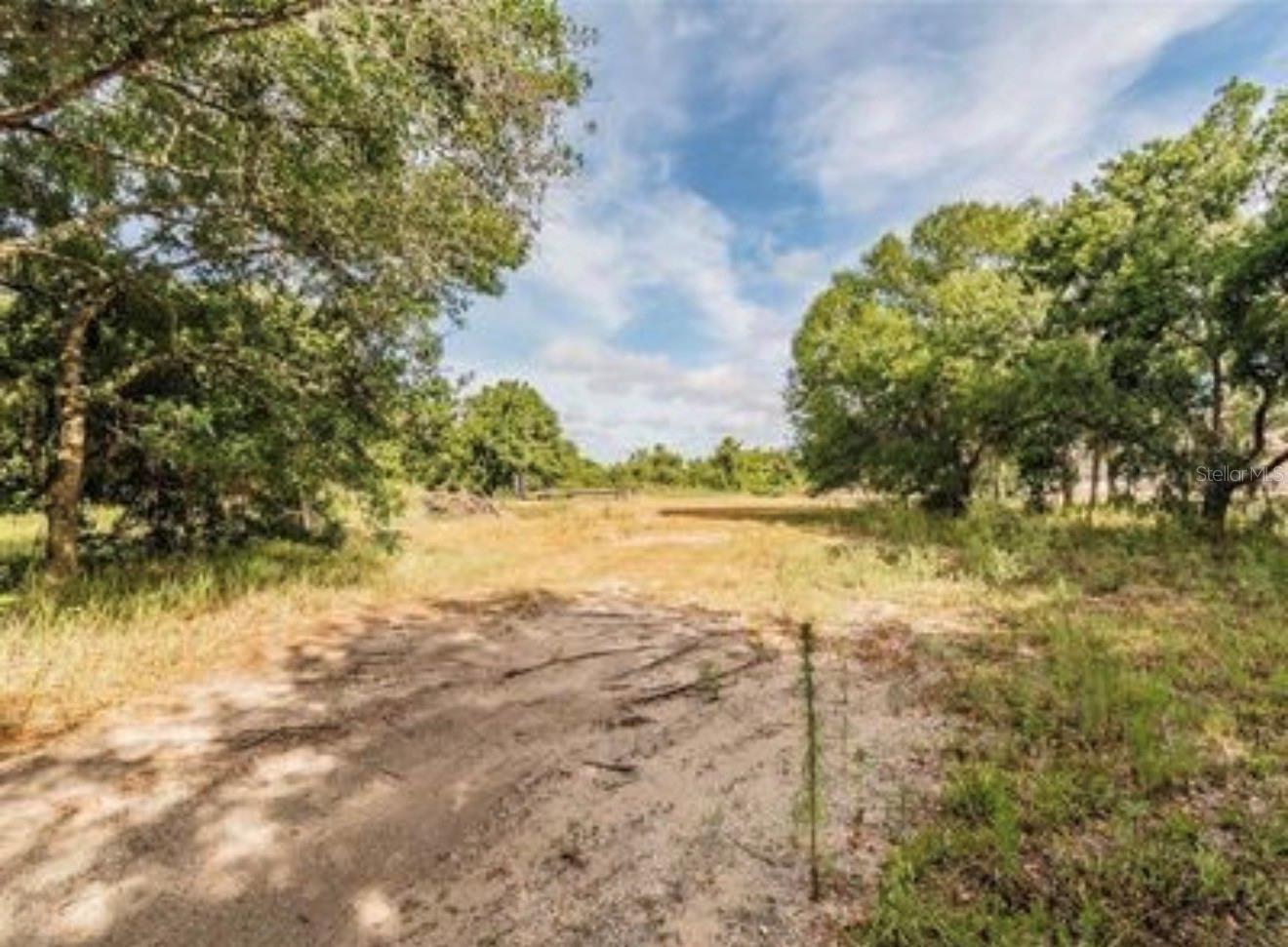 2923 Timberlee Rd Property Photo 14