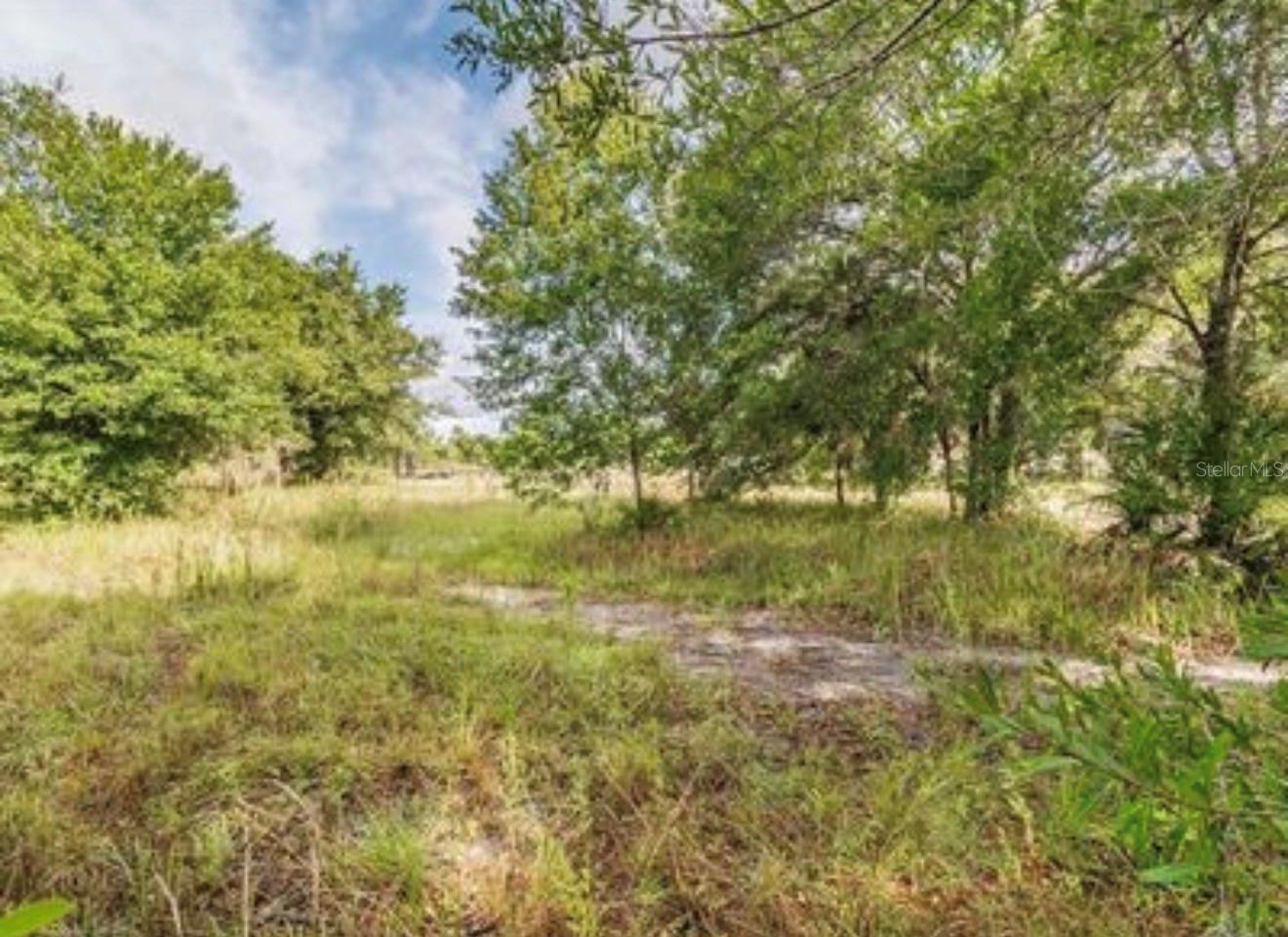 2923 Timberlee Rd Property Photo 18