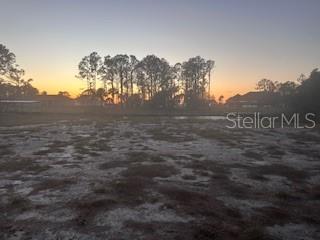 9 (Blk 265 Lot 22) AVOCADO DR Property Photo 1