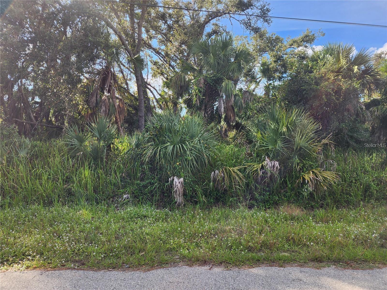 Lot 18 Gilbert St Property Photo 3