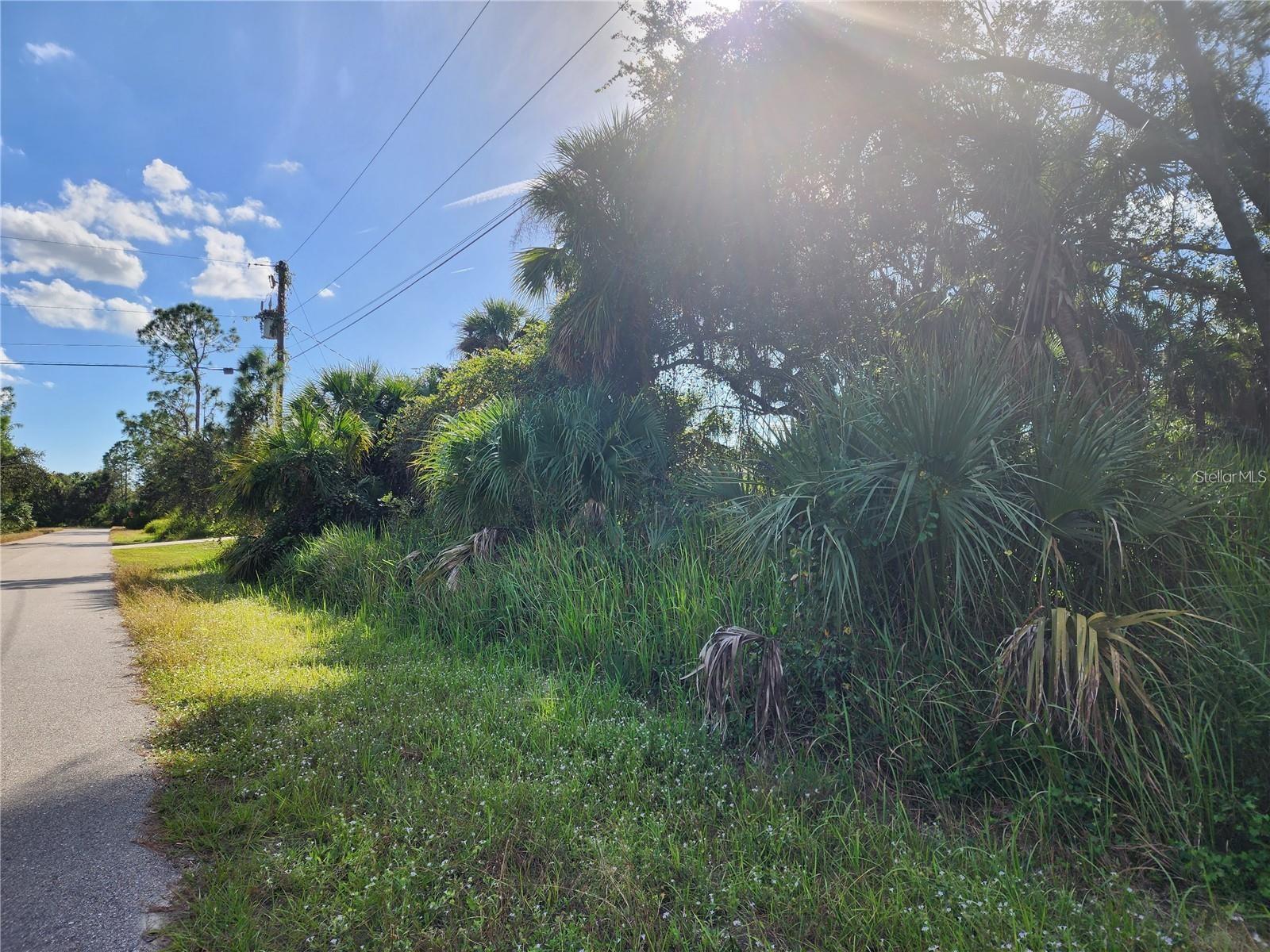 Lot 18 Gilbert St Property Photo 4