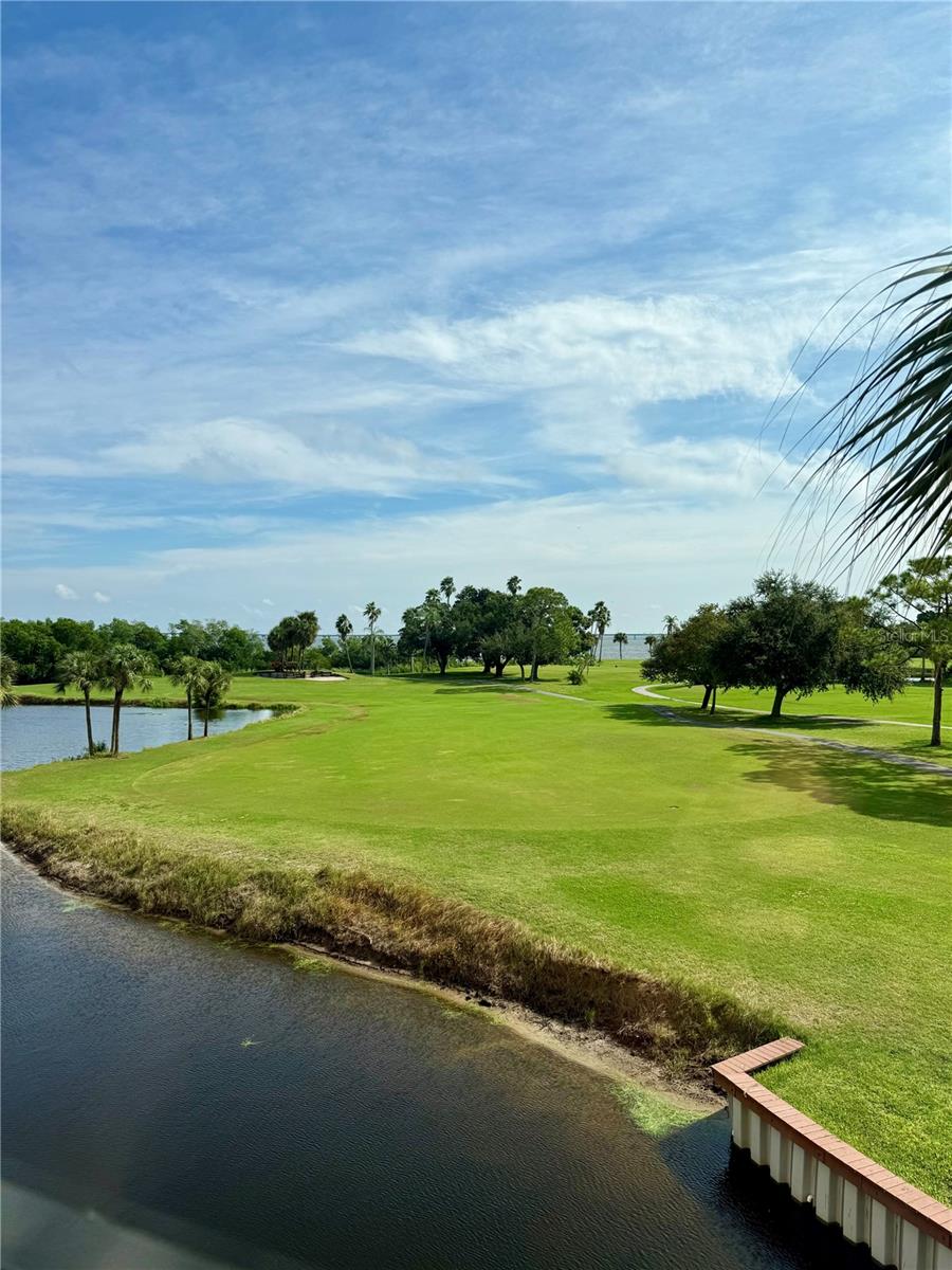 2620 Cove Cay Dr #307 Property Photo 7