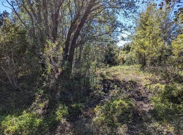 5570 Juel Gill Rd Property Photo 3