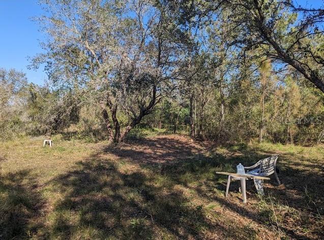 5570 Juel Gill Rd Property Photo 5