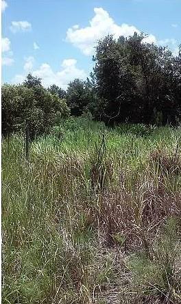 5570 Juel Gill Rd Property Photo 8