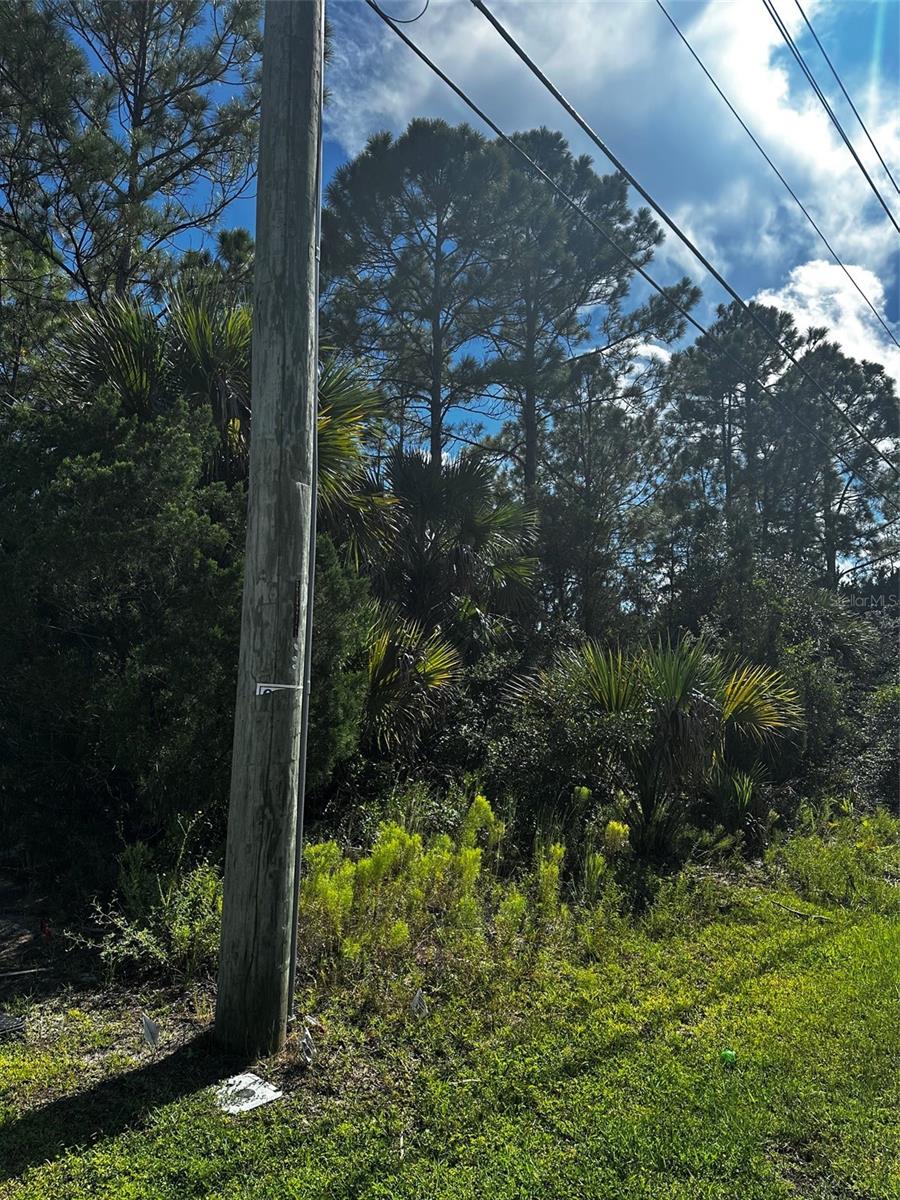 6 Pine Grove Dr Property Photo 3