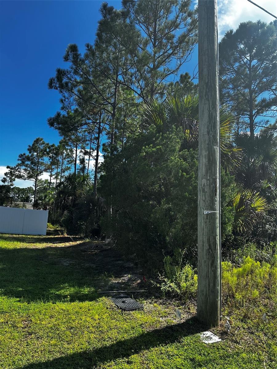 6 Pine Grove Dr Property Photo 4
