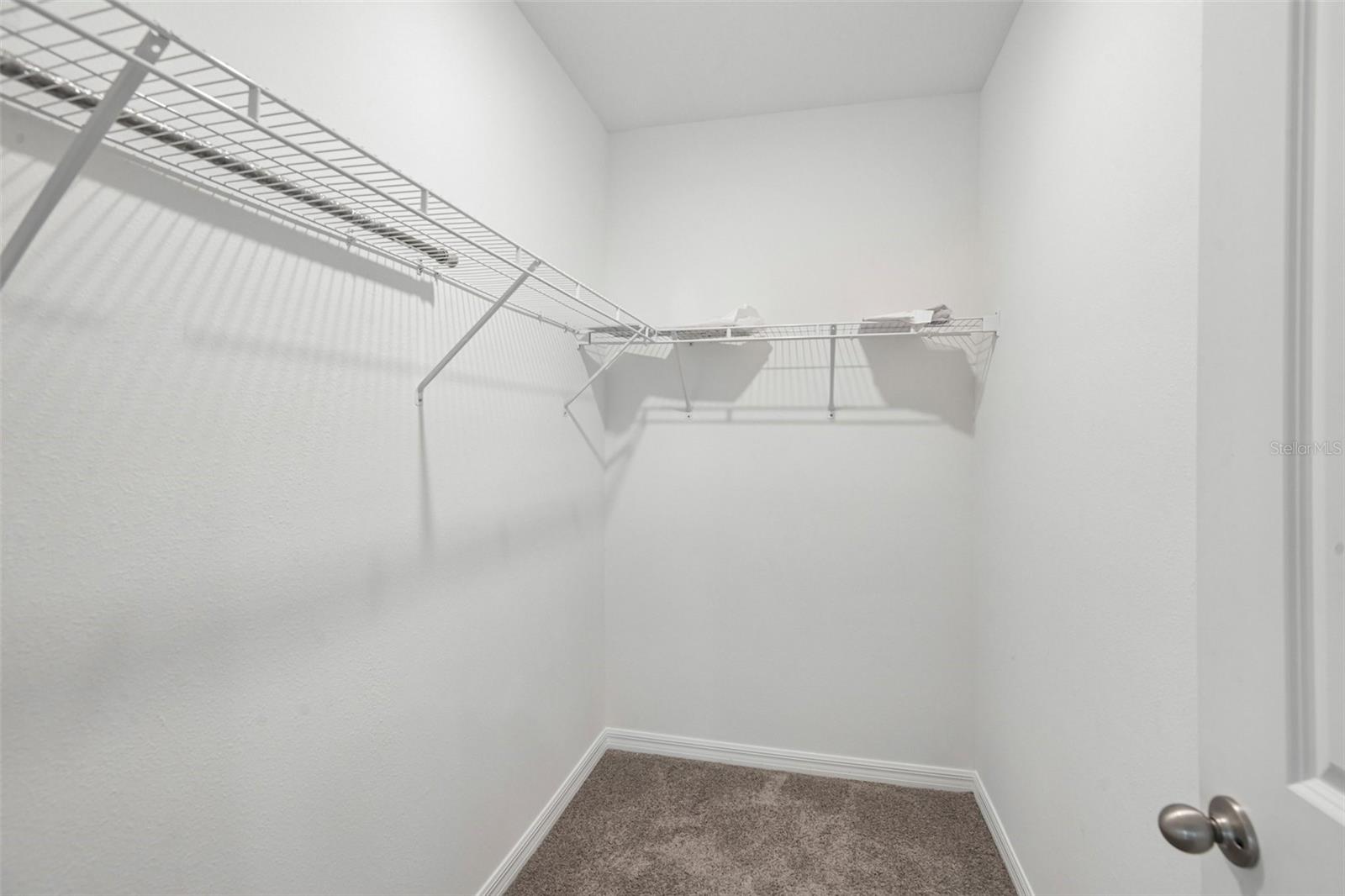 33319 Darley Dale Trl Property Photo 18
