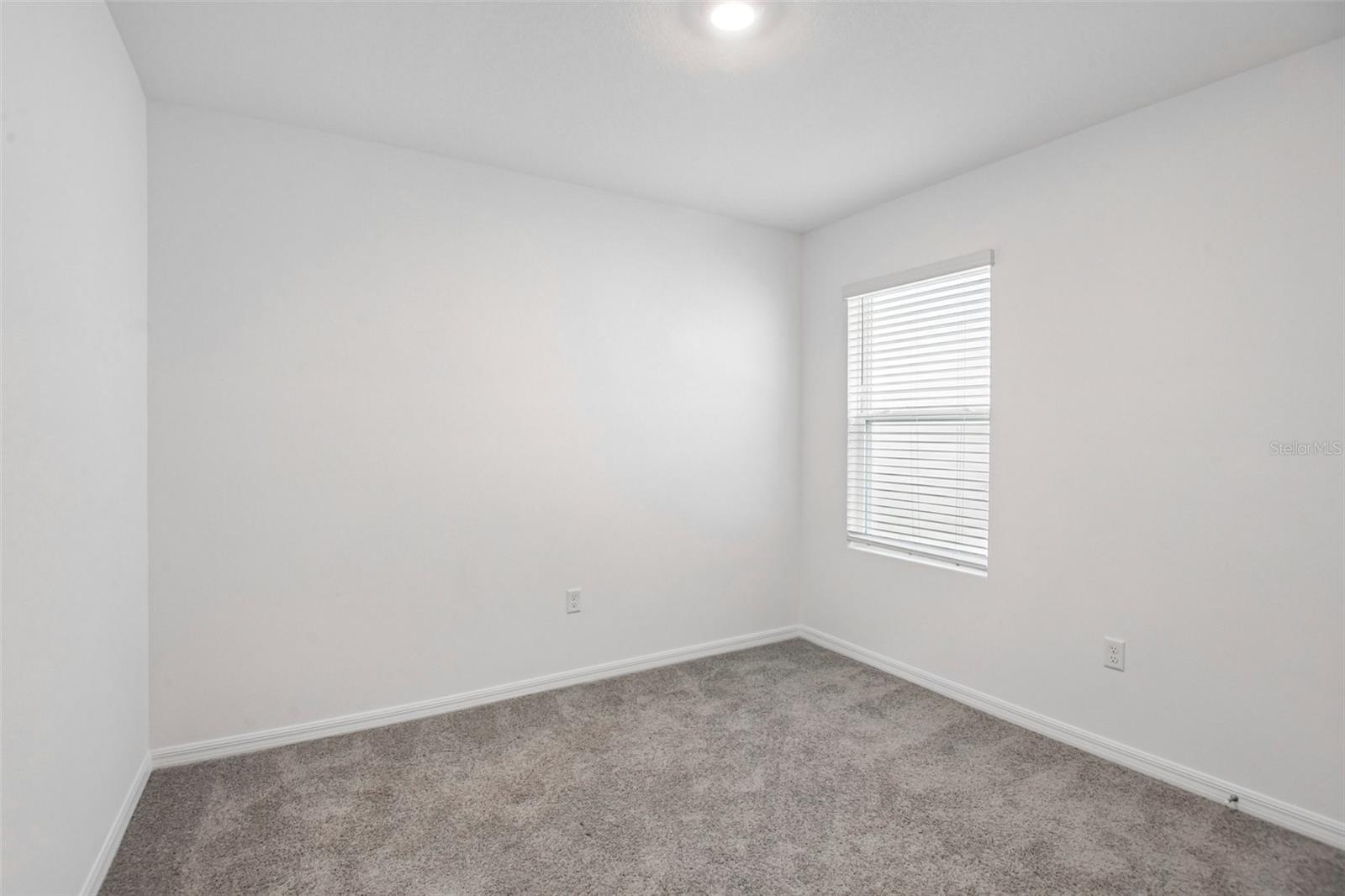 33319 Darley Dale Trl Property Photo 20
