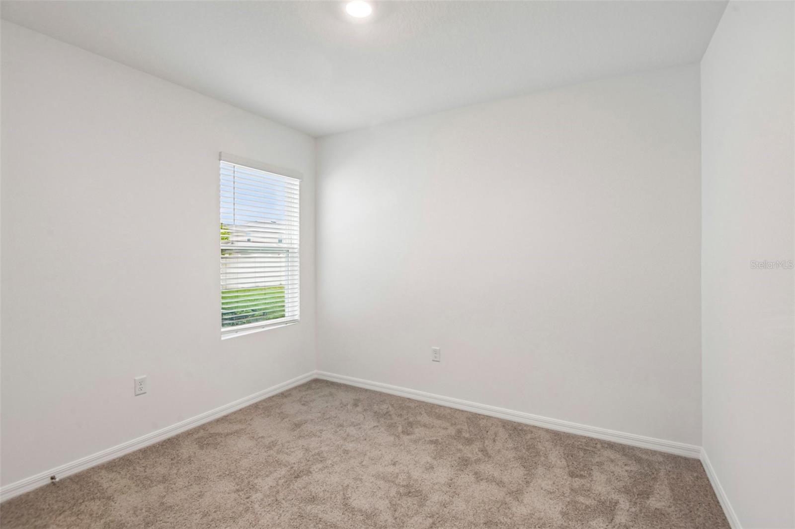 33319 Darley Dale Trl Property Photo 23