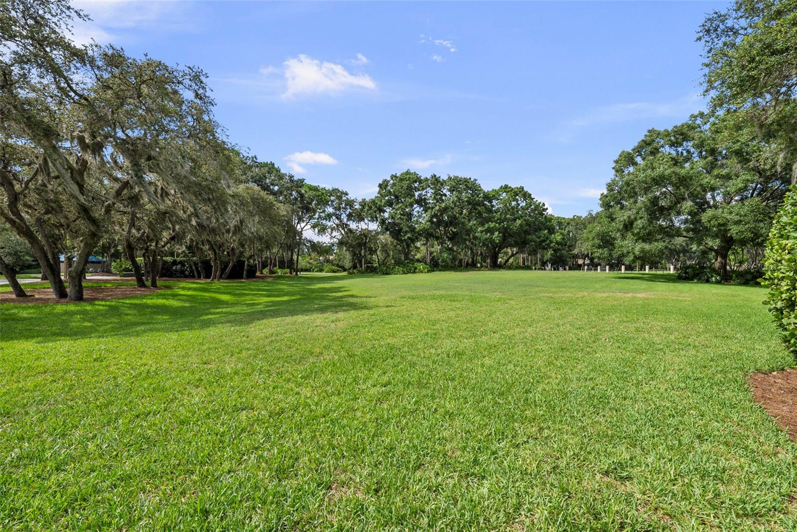 3553 Florian Ter Property Photo 83