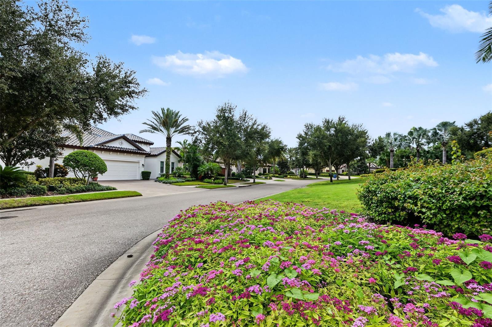 1366 Via Verdi Dr Property Photo 4