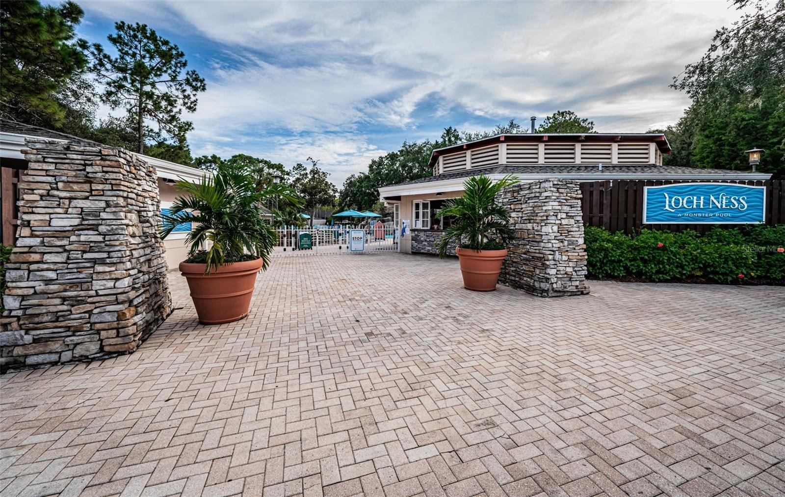 1366 Via Verdi Dr Property Photo 67