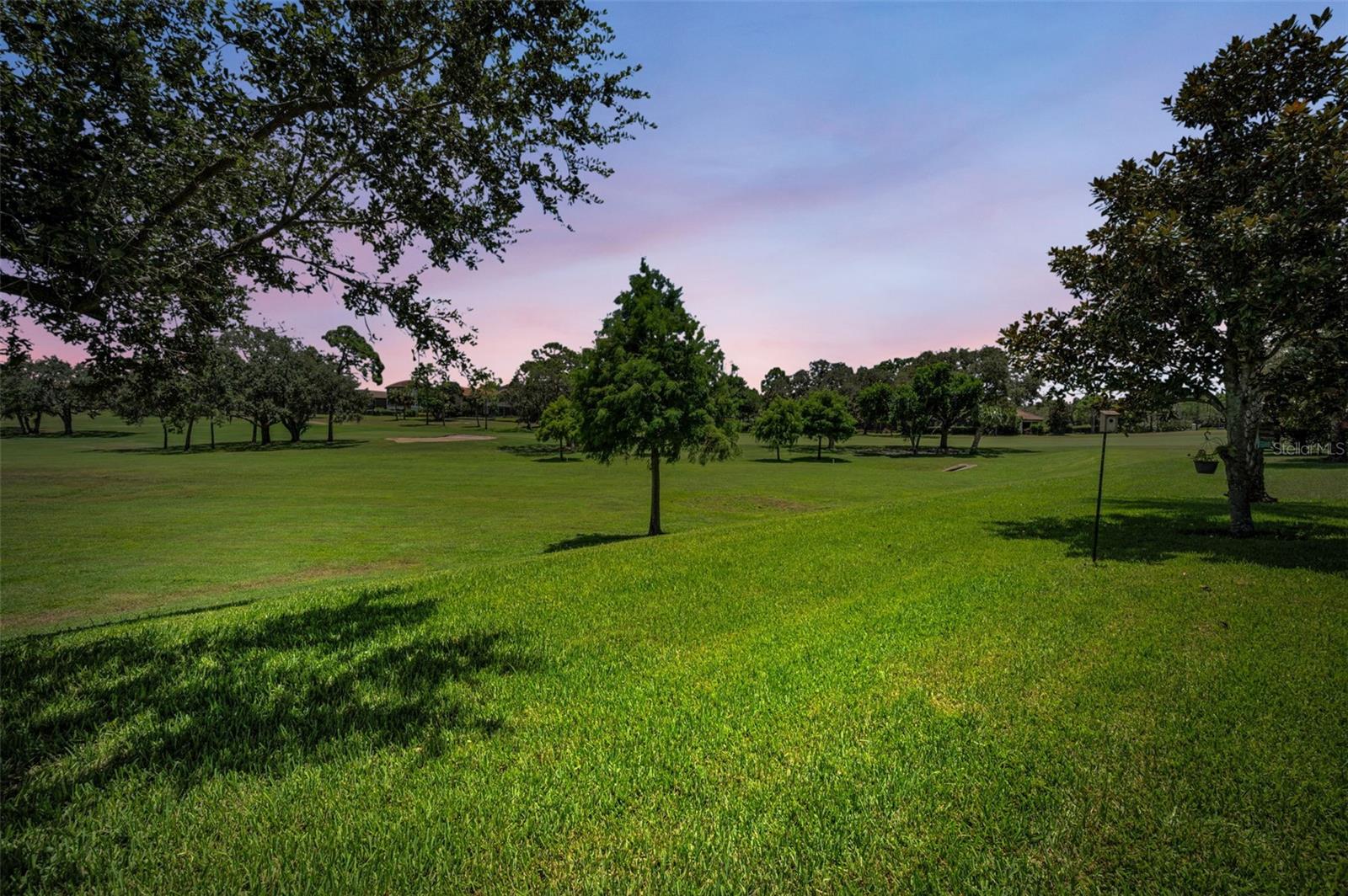 1366 Via Verdi Dr Property Photo 75