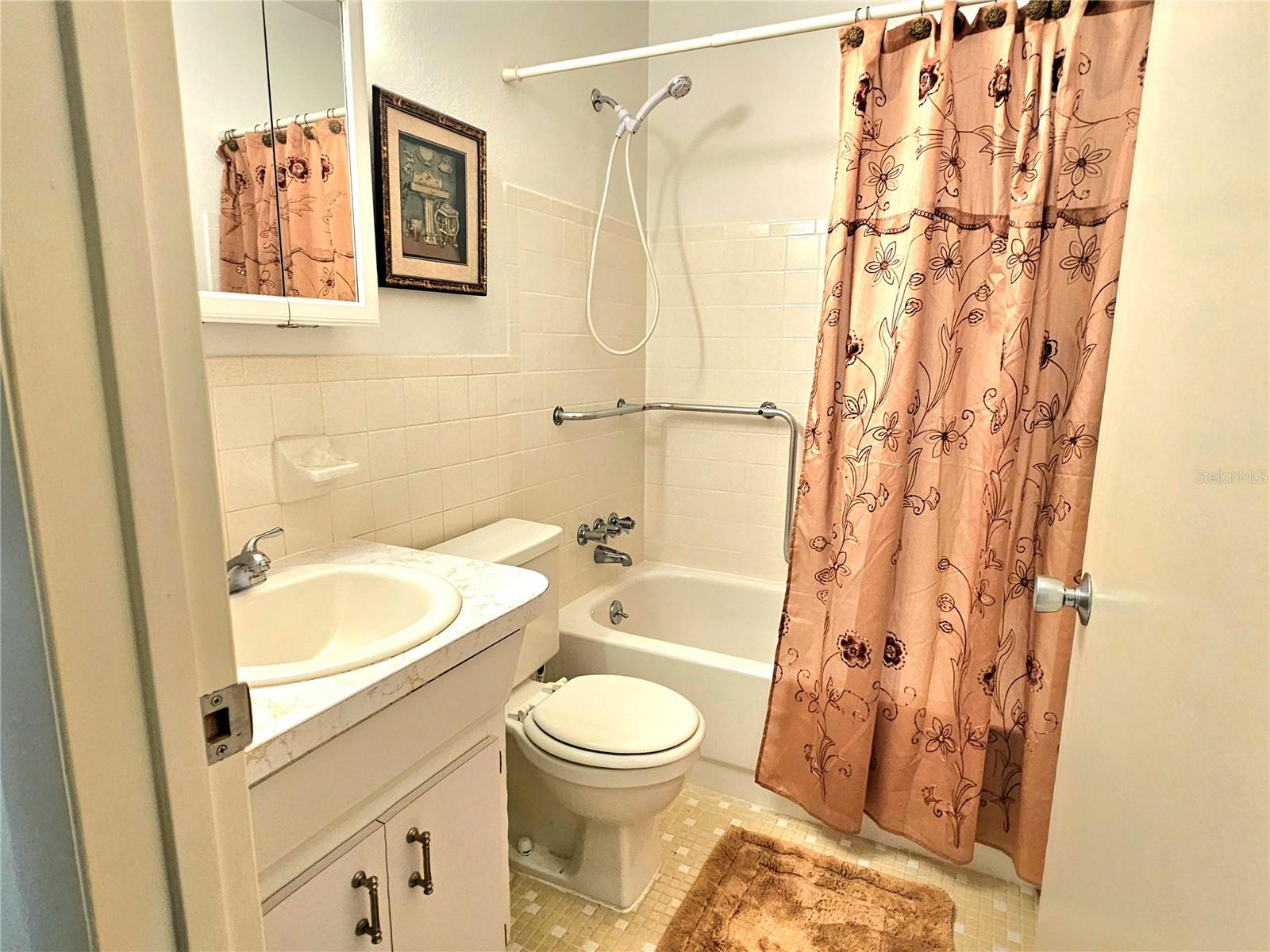 2426 Persian Dr #64 Property Photo 24