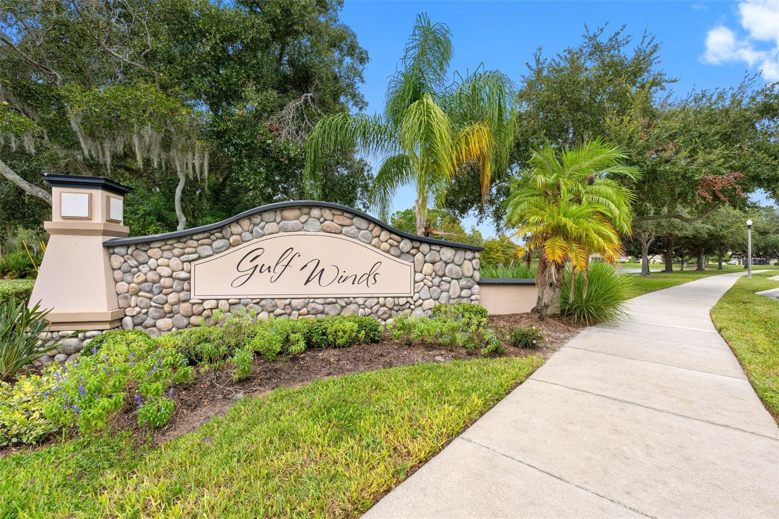 2232 Parrot Fish Dr Property Photo 51