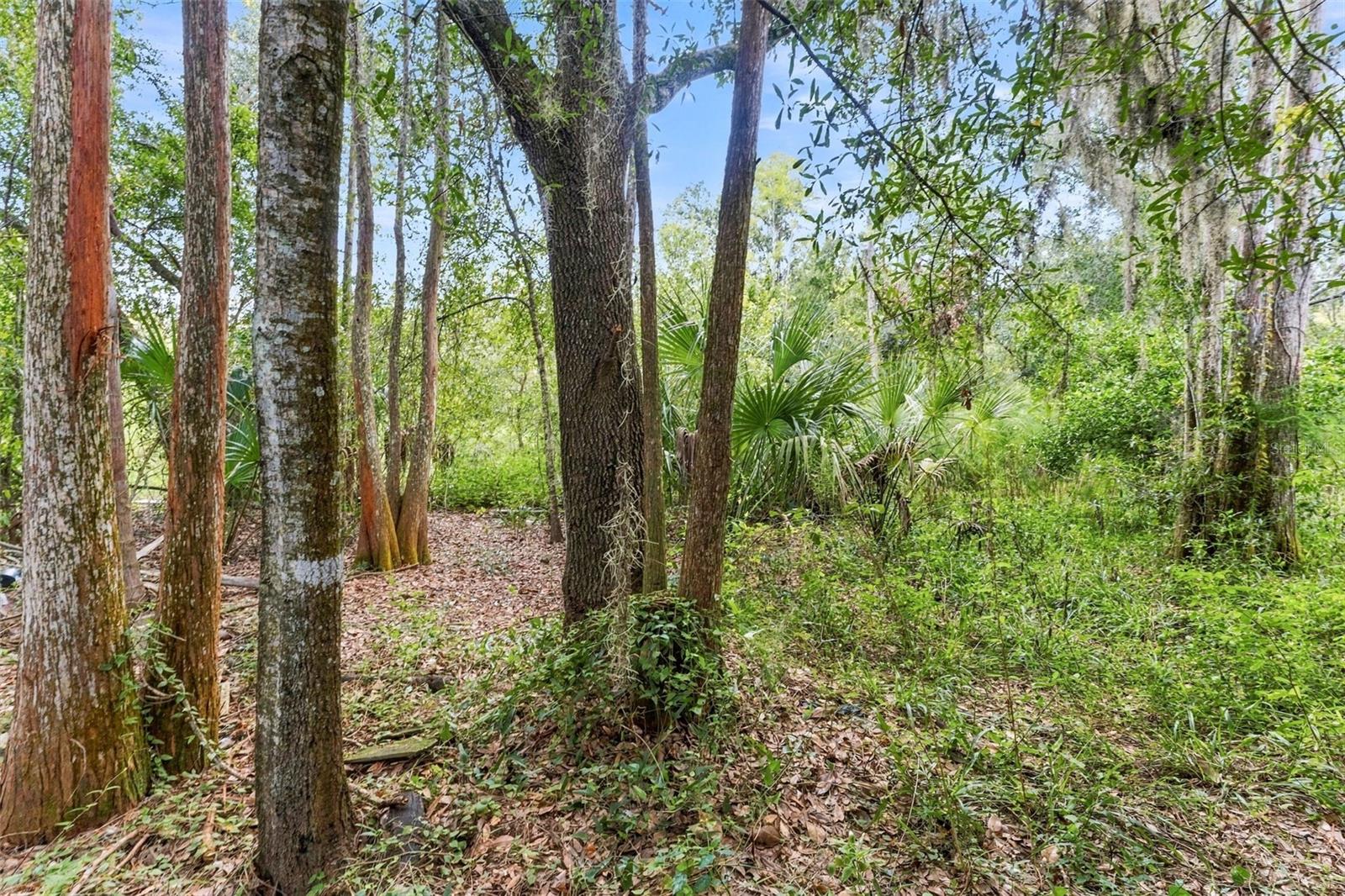 1621 Spinning Wheel Dr Property Photo 19