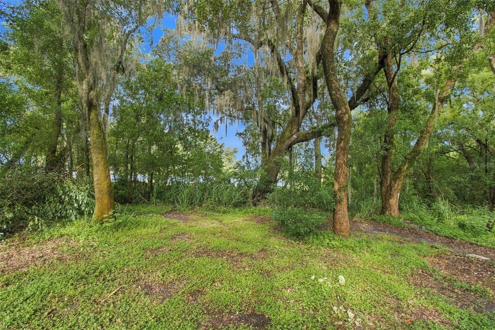 30251 Sunset Ln Property Photo 5