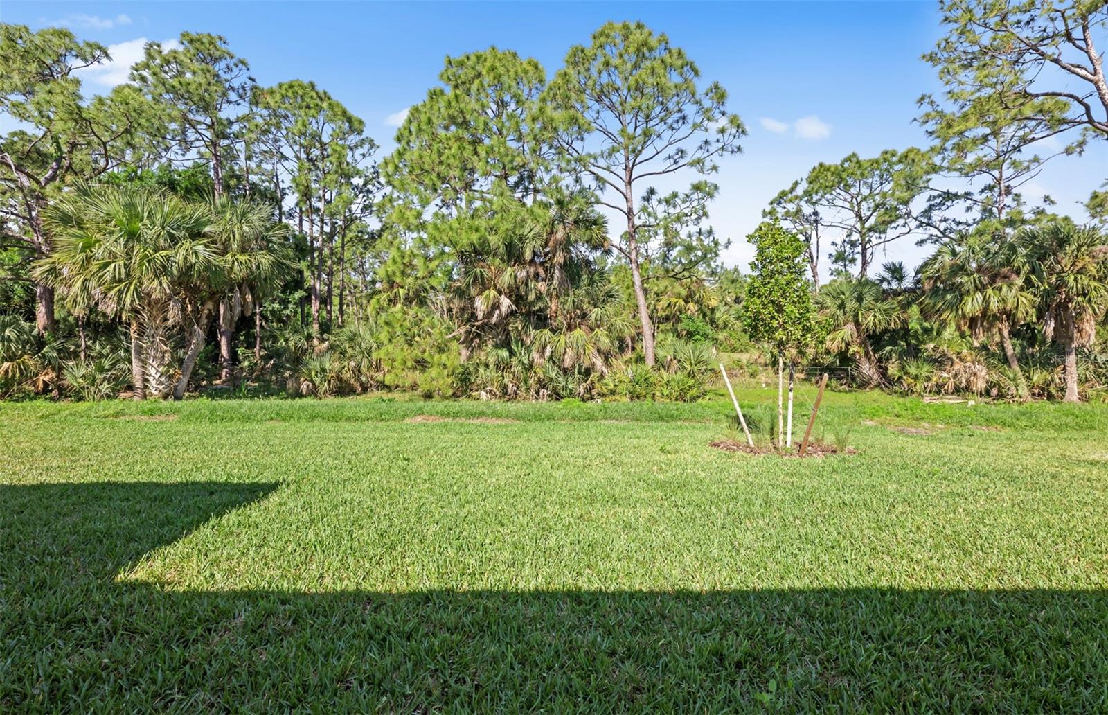 2633 Gabel Oak Dr Property Photo 16