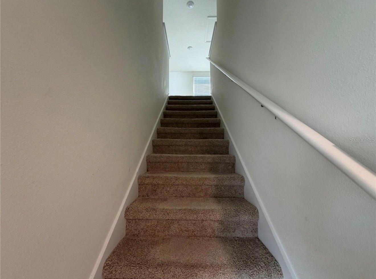 12072 Downy Birch Dr Property Photo 10