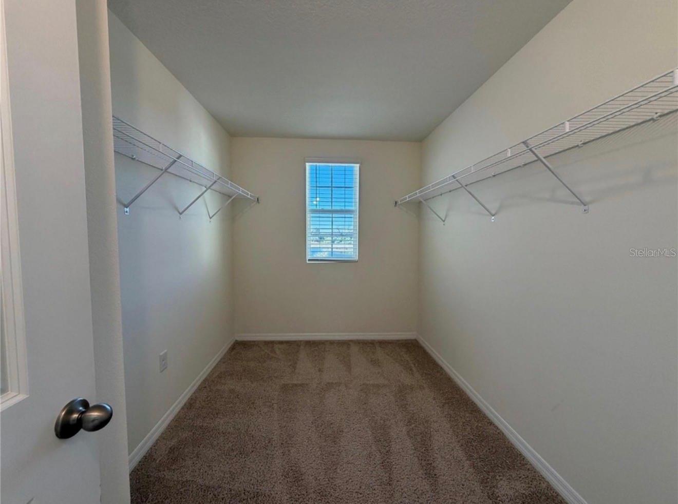 12072 Downy Birch Dr Property Photo 15