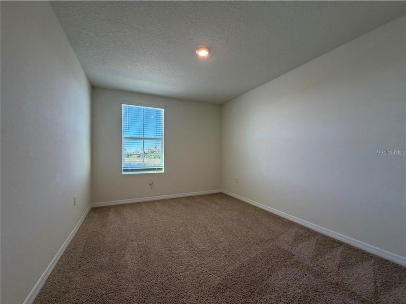 12072 Downy Birch Dr Property Photo 17