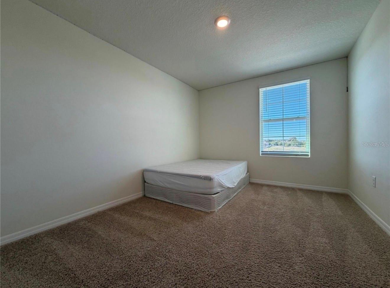 12072 Downy Birch Dr Property Photo 20