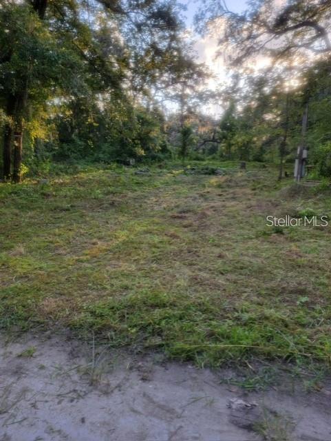 10145 LORELL ST Property Photo 1