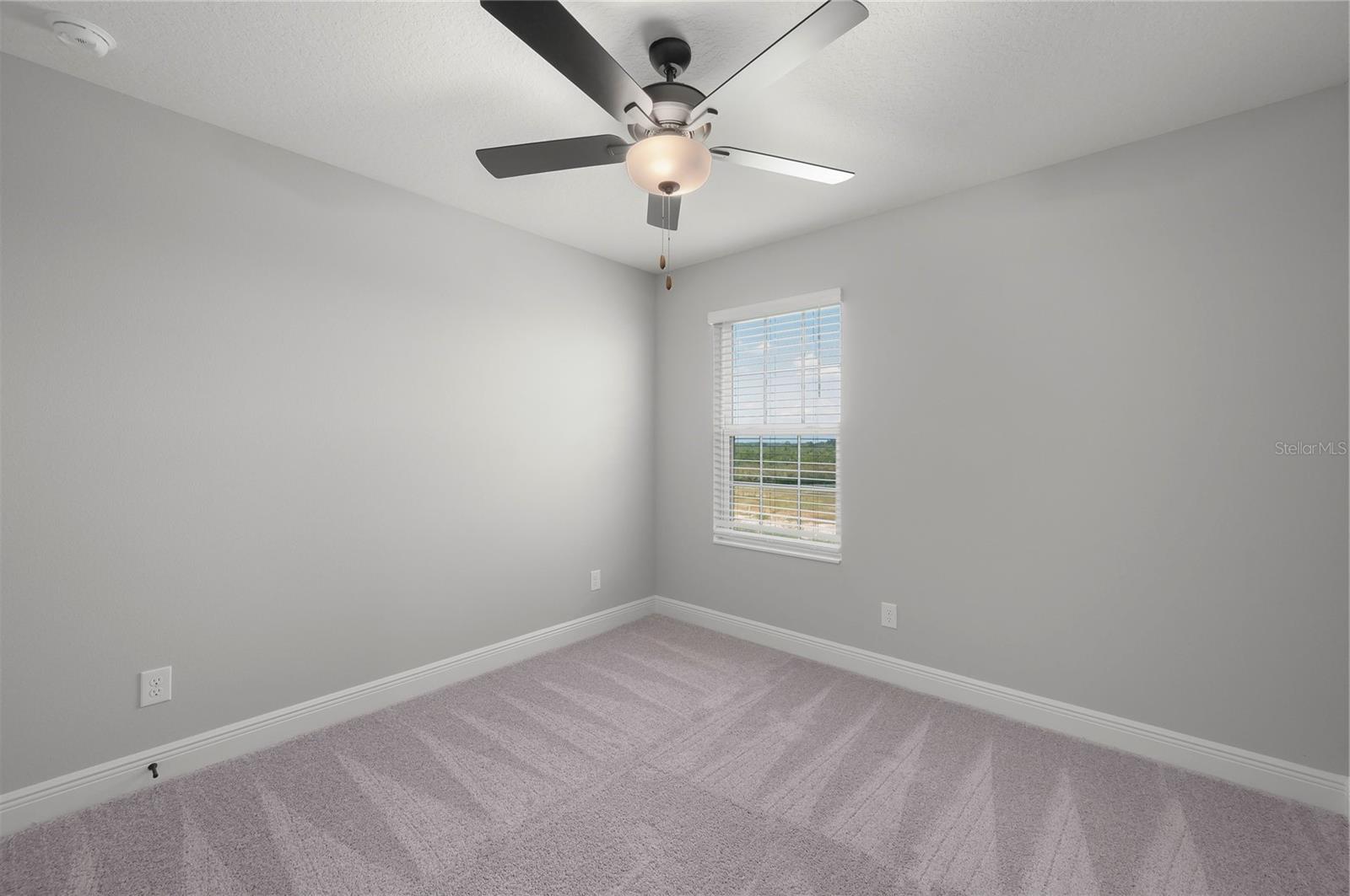 3339 Chinotto Dr Property Photo 28