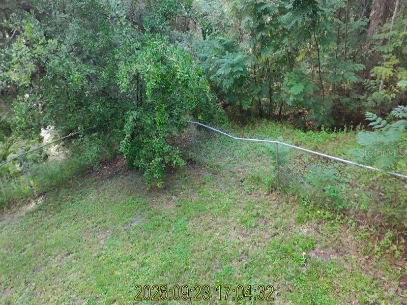 1715 Forbes St Property Photo 20
