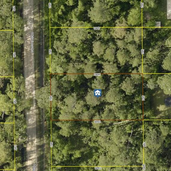 10th Ave Property Photo 2