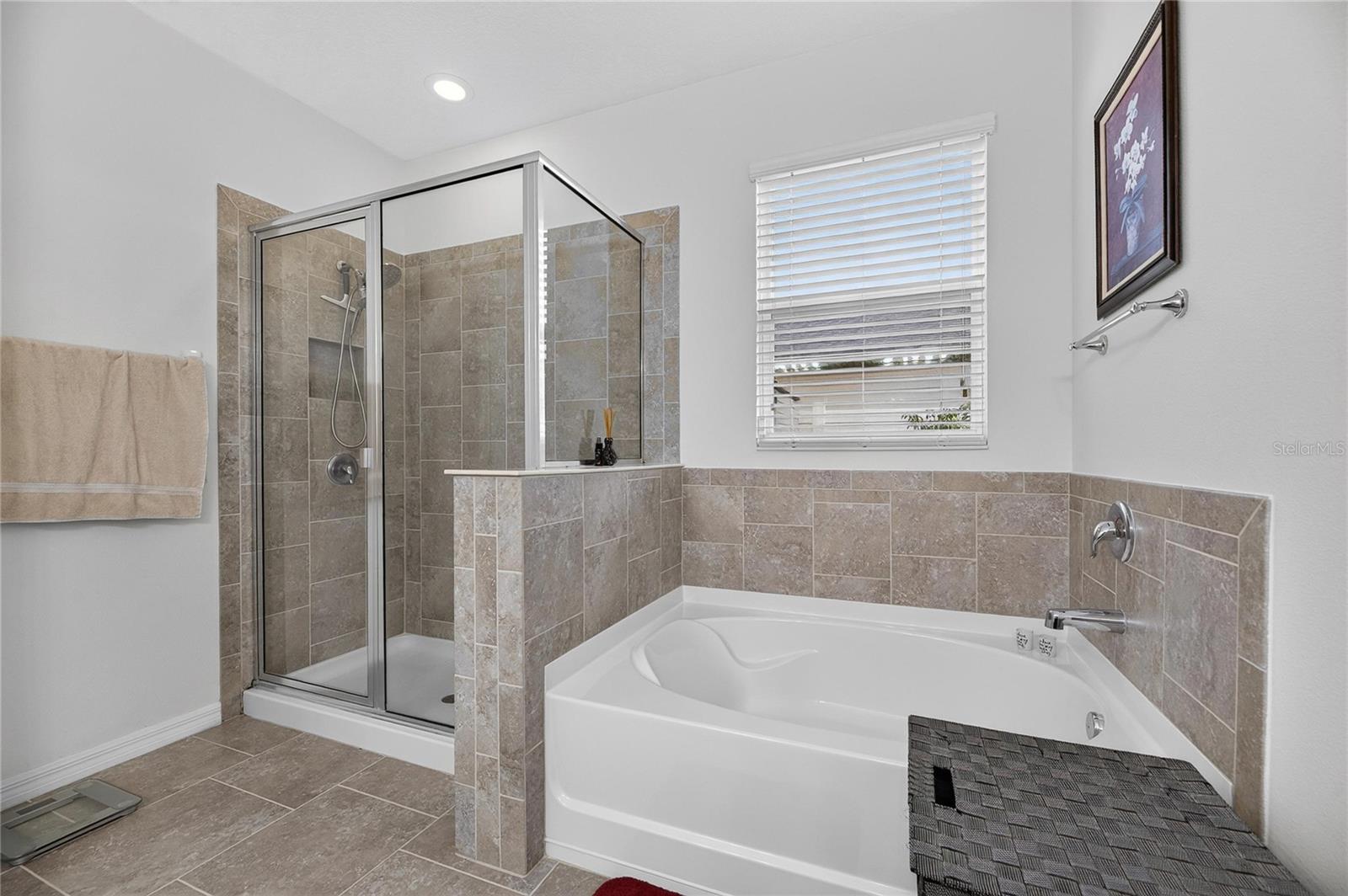 10619 Scenic Hollow Dr Property Photo 35