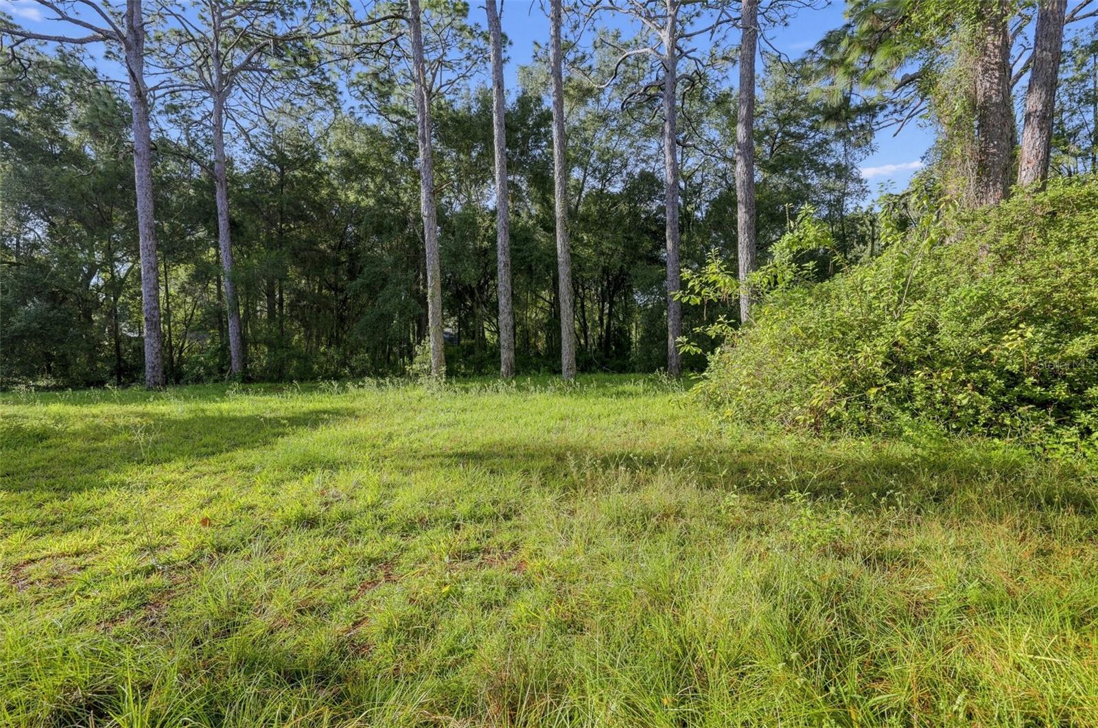 18322 Havenwoods Rd Property Photo 8