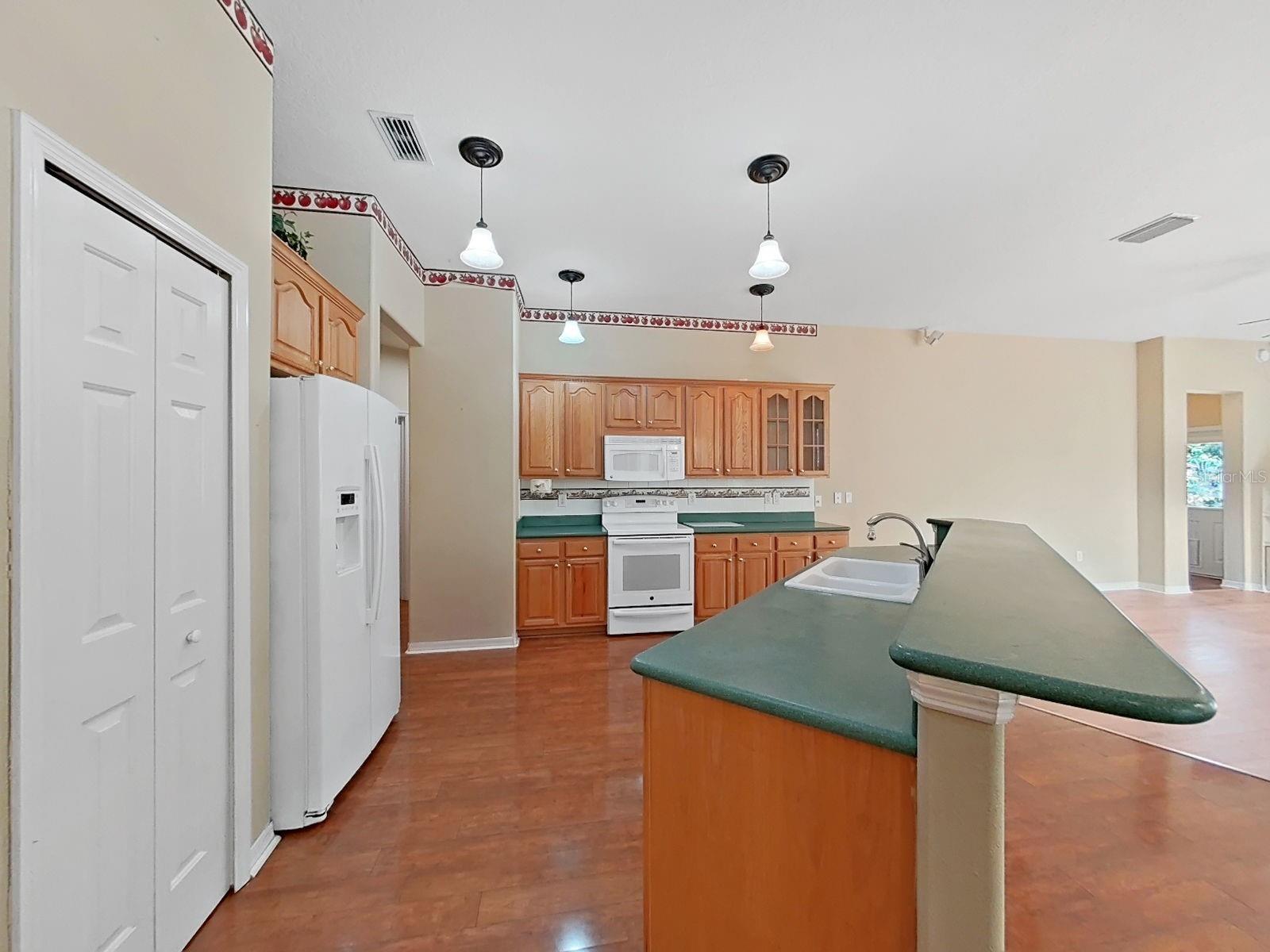 14915 Devonshire Woods Pl Property Photo 16
