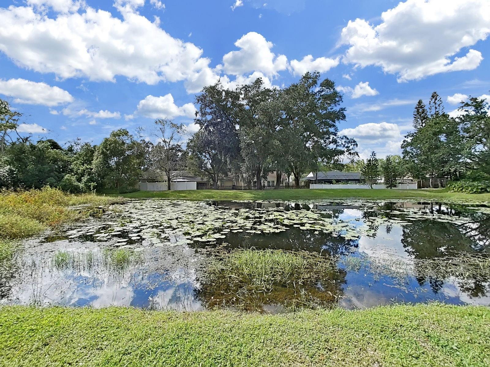 14915 Devonshire Woods Pl Property Photo 44
