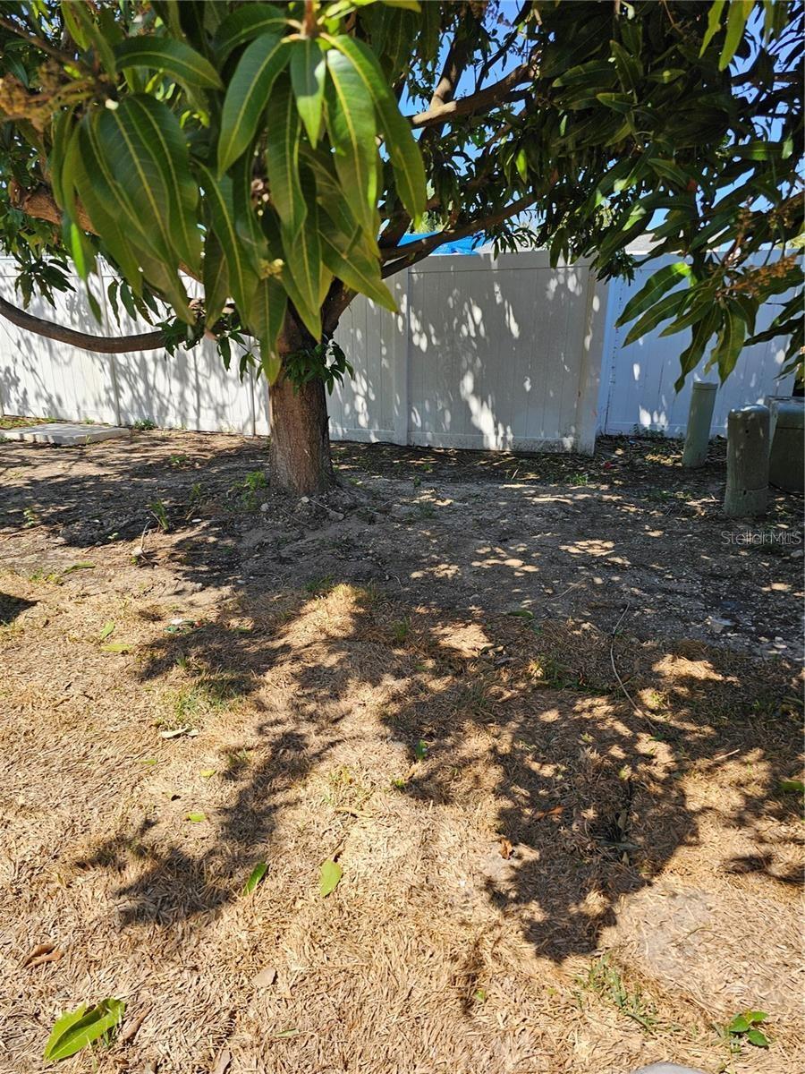 7425 Abalone Dr Property Photo 2