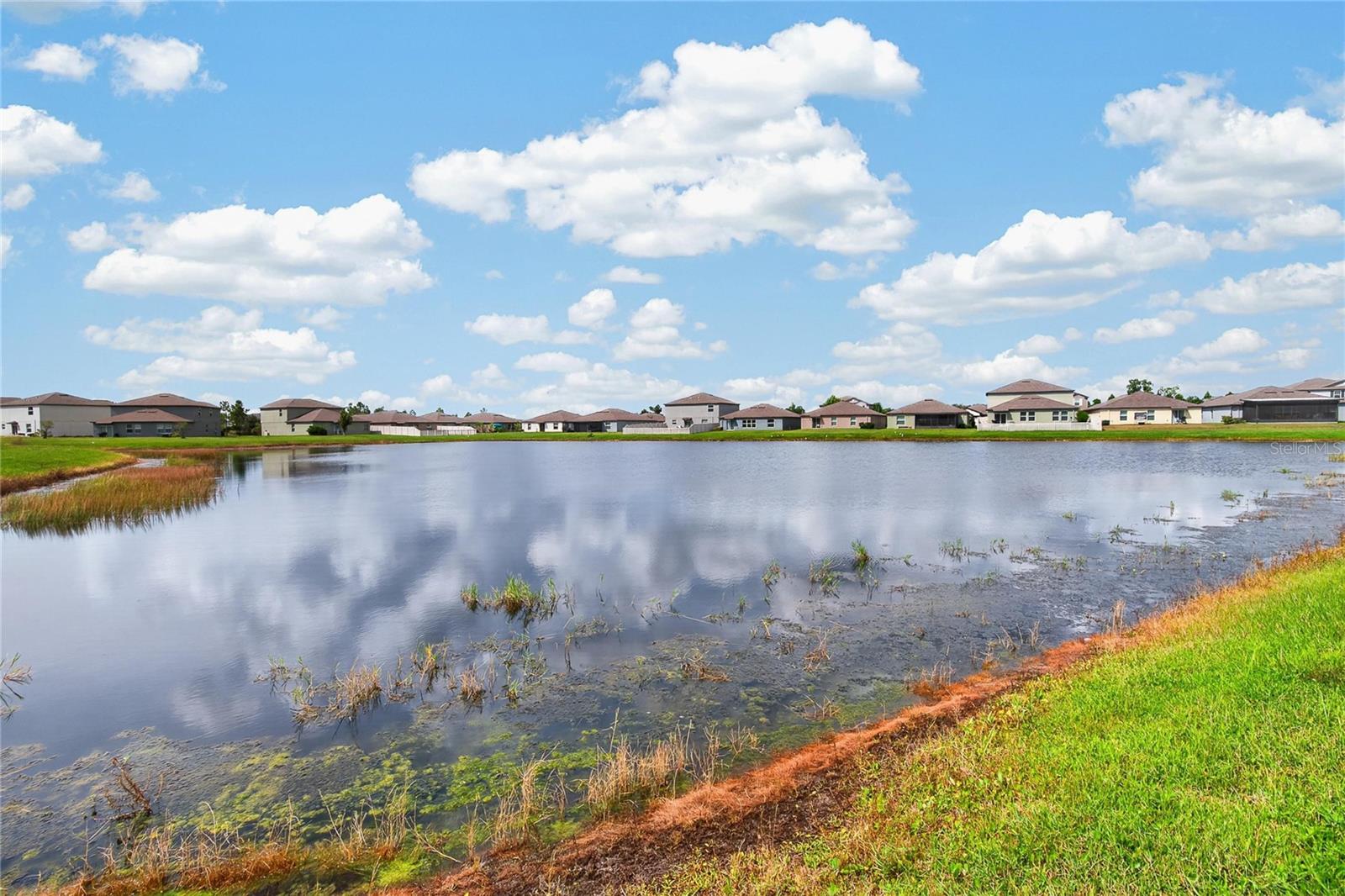 5487 Blue Azure Dr Property Photo 50