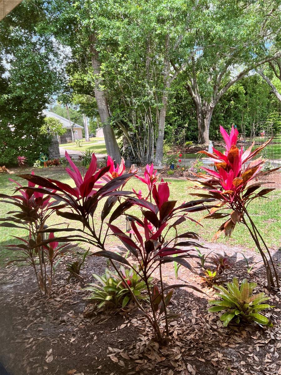 113 Bridgehaven Dr Property Photo 18