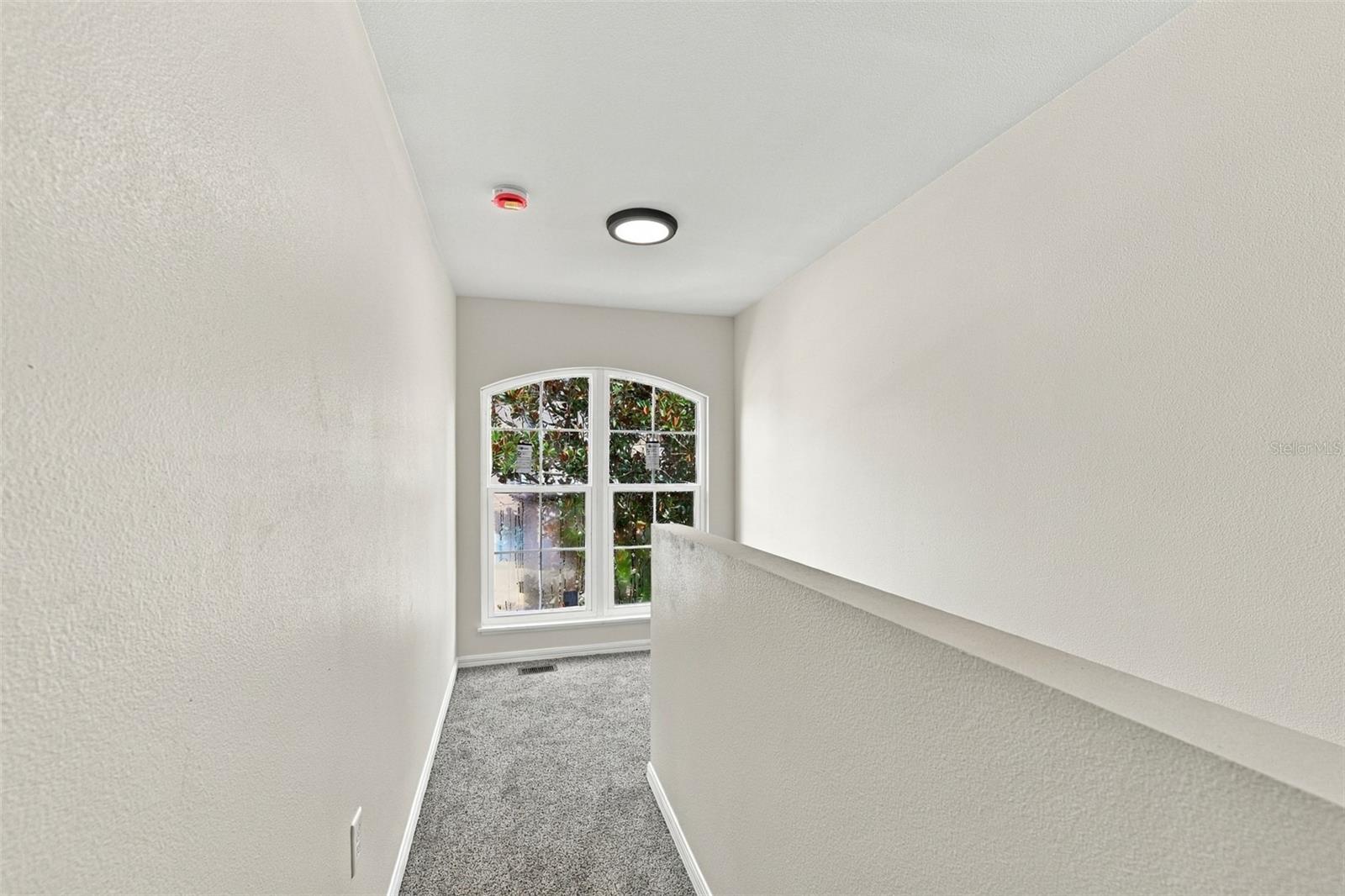 9951 Ashburn Lake Dr Property Photo 19