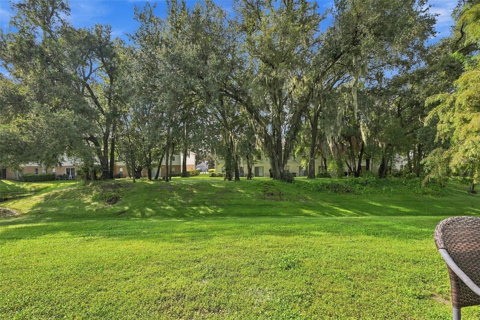 9951 Ashburn Lake Dr Property Photo 40