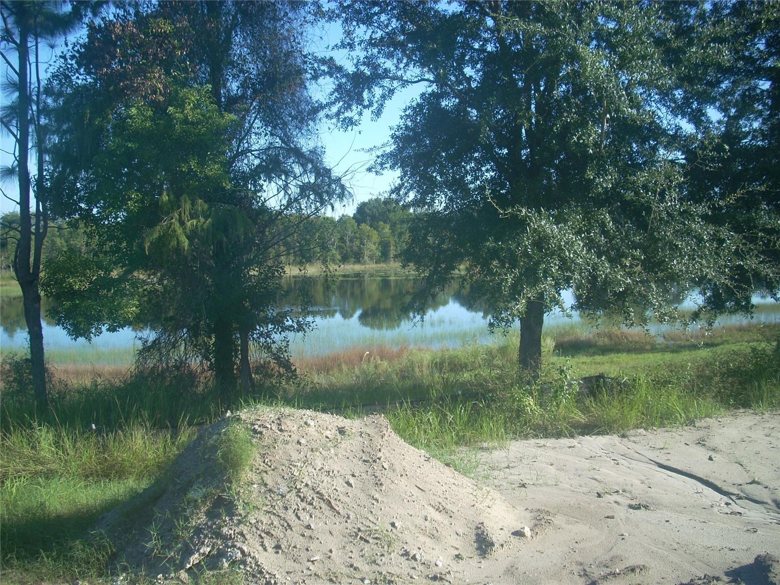 9139 Trevino Property Photo 9