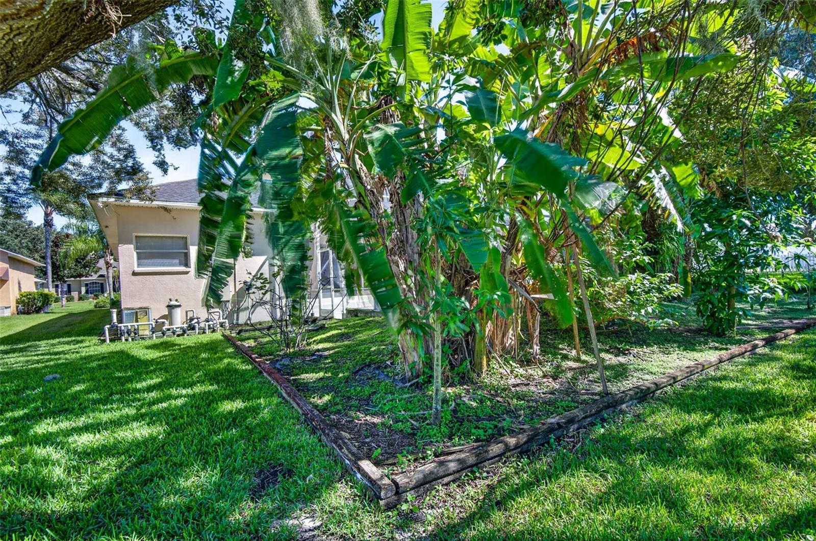725 Citrus Wood Ln Property Photo 64