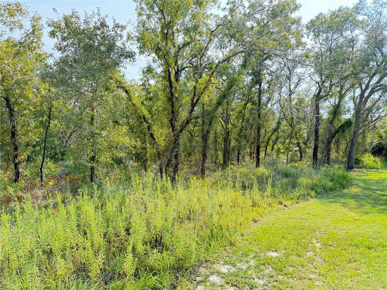 11096 MARSH WREN AVE Property Photo 1