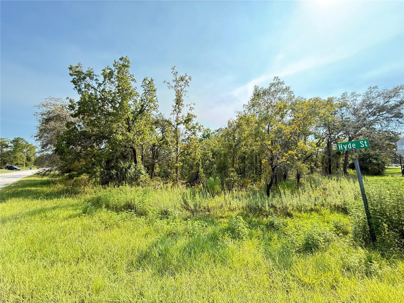 11096 Marsh Wren Ave Property Photo 2