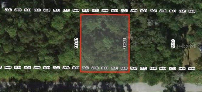3403 E Rogers St Property Photo 6