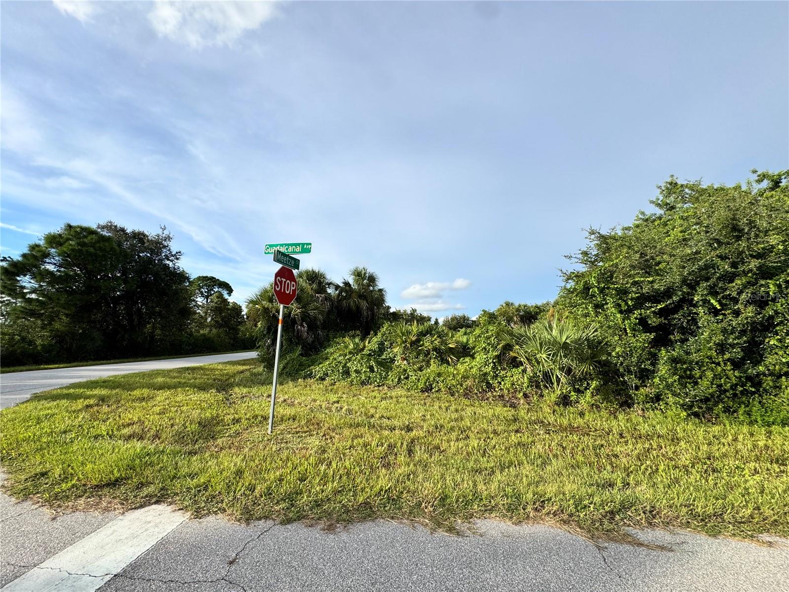 14114 GUADALCANAL AVE Property Photo 1