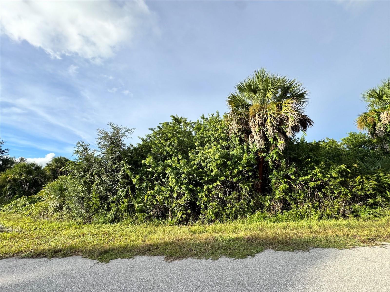 14114 Guadalcanal Ave Property Photo 2