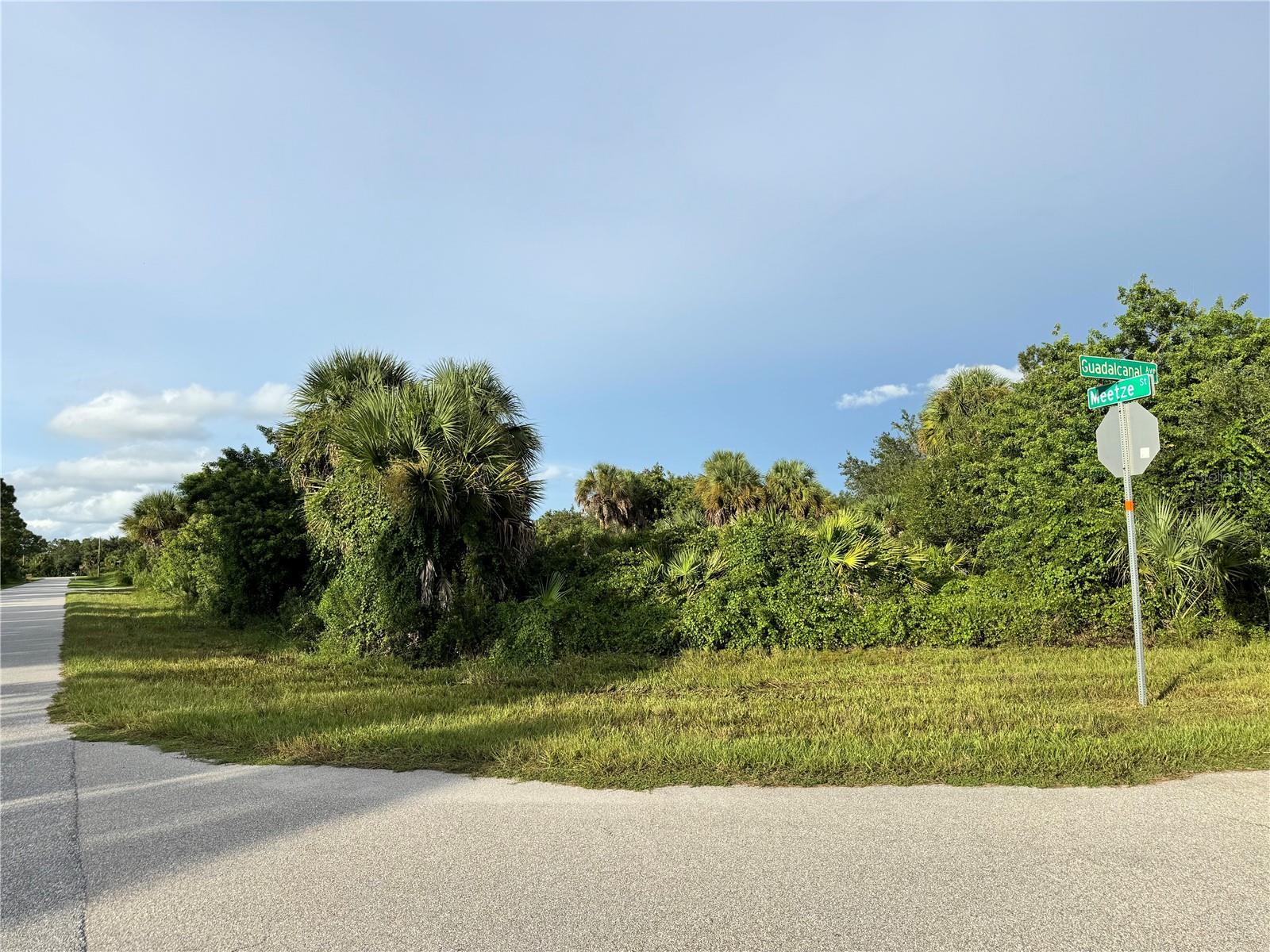14114 Guadalcanal Ave Property Photo 3