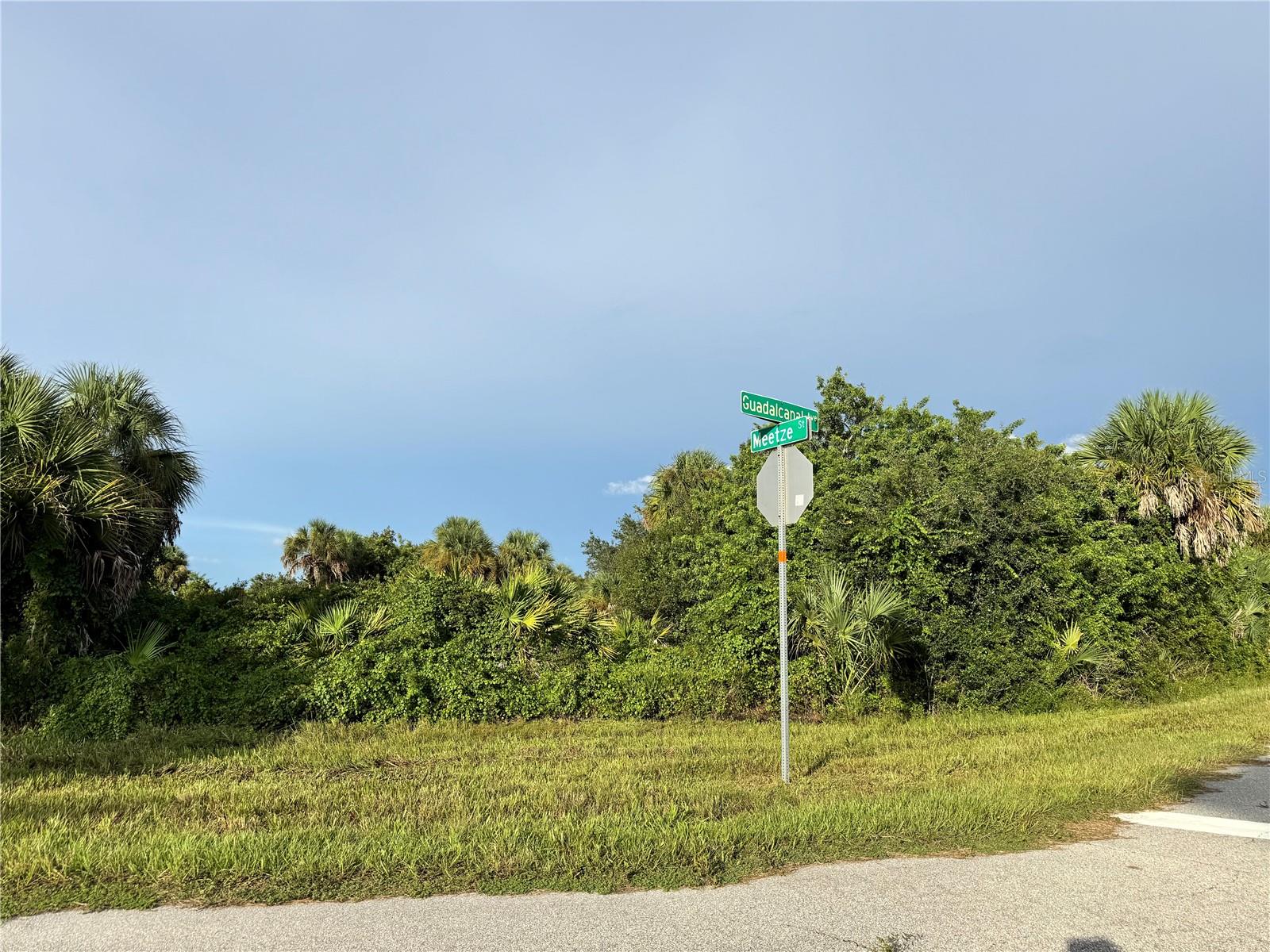 14114 Guadalcanal Ave Property Photo 4
